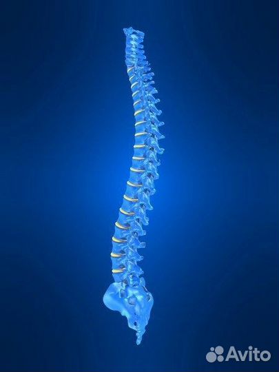 Массаж/Сеанс остеопатии