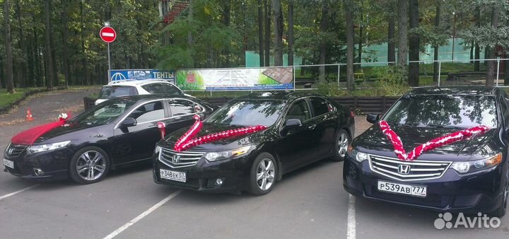 Свадебных украшений, кольца, ленты