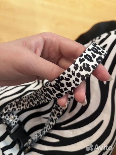 Ошейник для собак