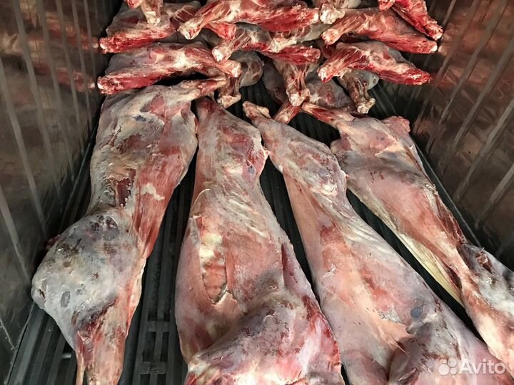 Мясо Говядина Телятина Молодняк Быки полутуши