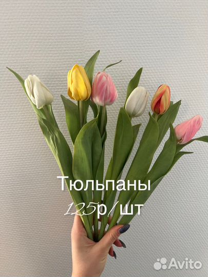 Искусственные растения срезка, Швеция