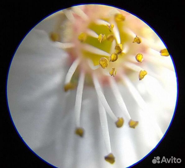 Стерео микроскоп бинокулярный 20х-30х (40х-60х)