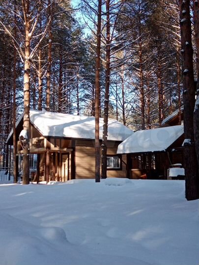 Дом 100 м² на участке 6 сот.