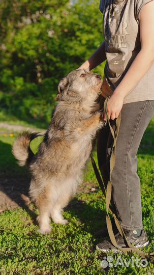 Милая Машерочка в добрые руки