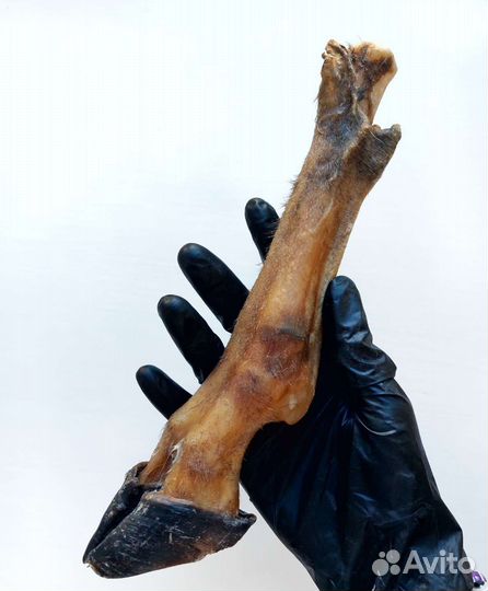 Лакомство для собак. Ножки бараньи