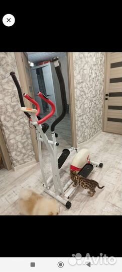 Эллиптический тренажер