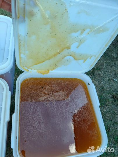 Мёд цветочный свежий