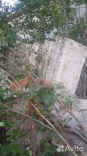 Арболитовые плиты