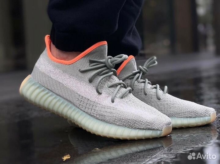 Yeezy desert sage - 5 us