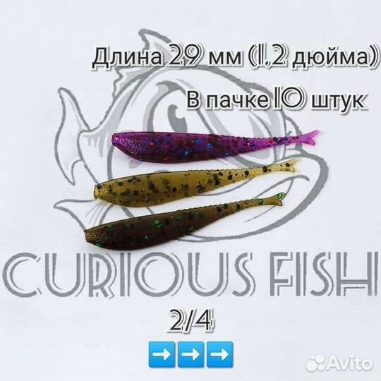 Curious Fish Flat Slyg 1,2 дюйма (29мм)