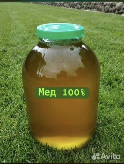 Мёд натуральный 100