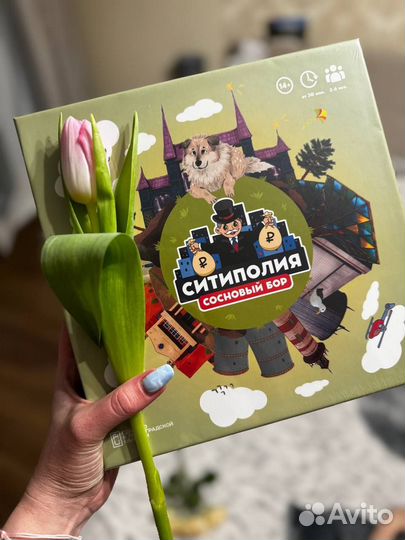 Настольная игра про Сосновый Бор