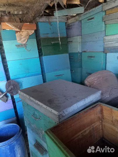 Ульи 12 рамочные,рамки,сушь