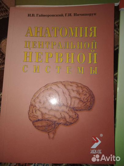 Анатомия