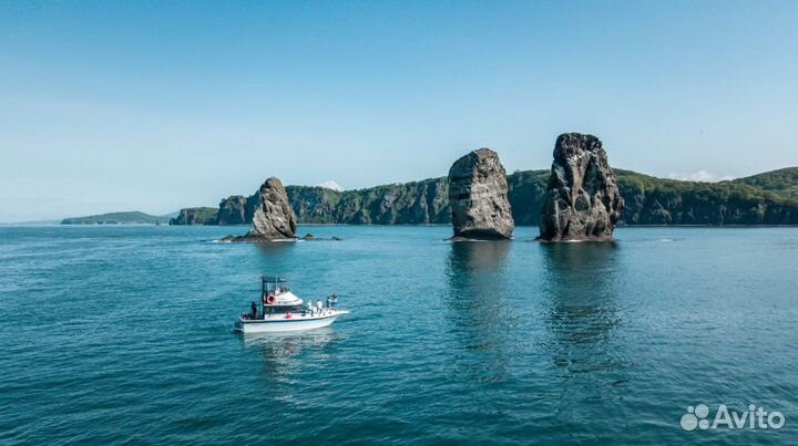 Морские прогулки на катере