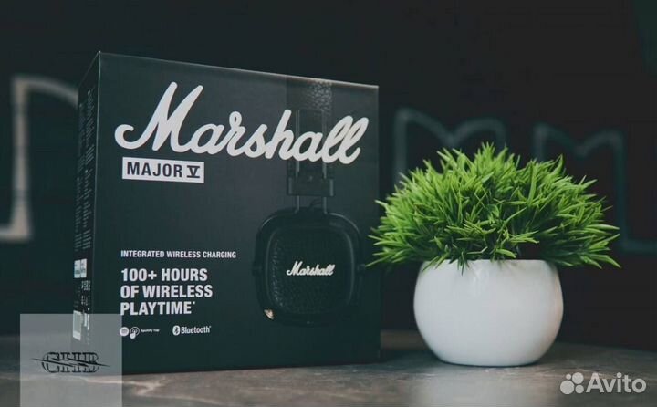 Marshall Major 4/5
