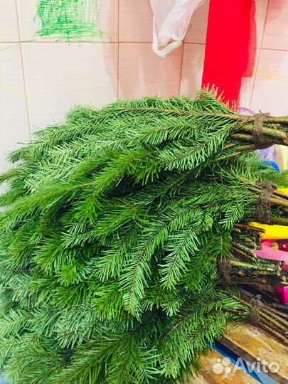 Пихтовые венички сибирские шикарные