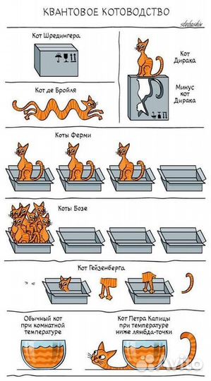 Репетитор по физике