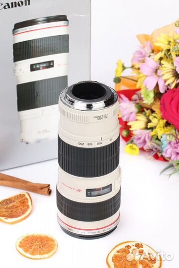 Canon EF 70-200mm f/4L USM, гарантия