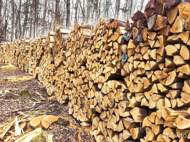 Дрова березовые с доставкой