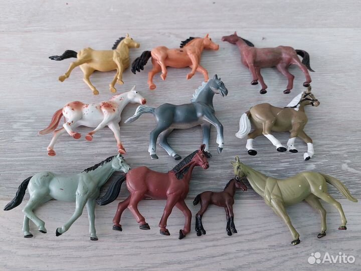 Лошади стейблы и др