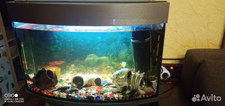 Продам аквариум