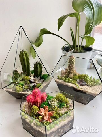 Флорариум, подарок