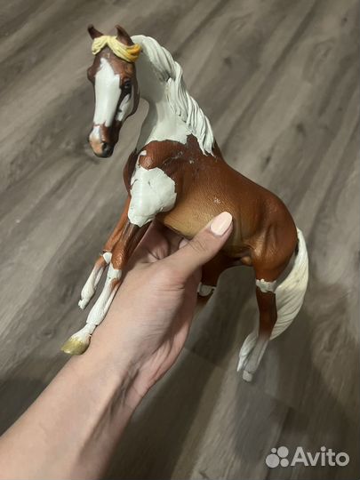 Предпродажа кастом Collecta classic