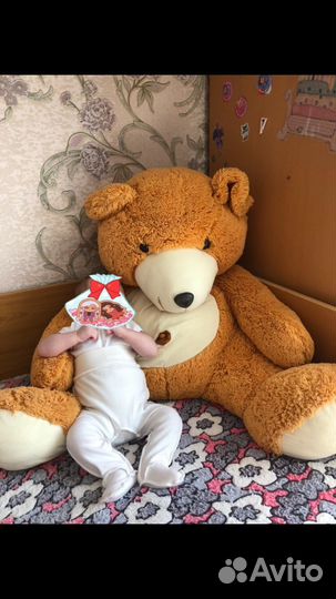 Плюшевый медведь