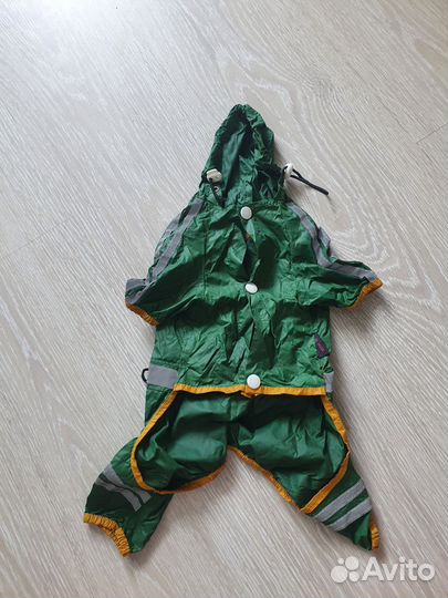 Одежда для собак