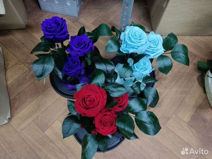 Роза в колбе оптом и в розницу