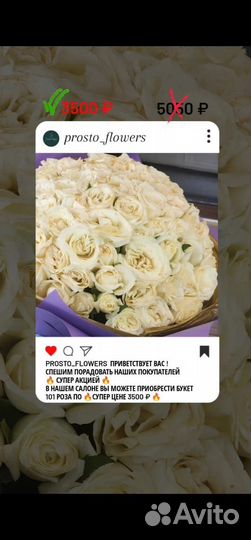 Цветы.Букеты.Розы.15/25/35/55/101/ (Круглосуточно)