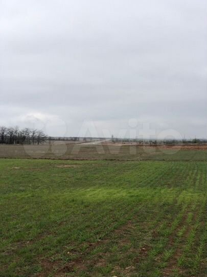 Участок 6,5 га (СНТ, ДНП)