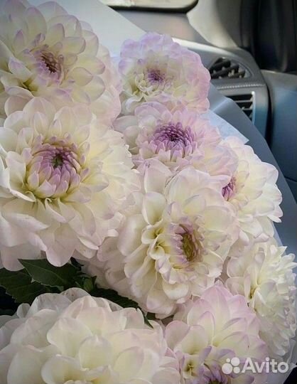 Букет цветов