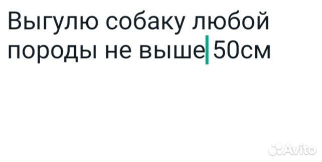 От Пушкина до нового Пушкина новая деревня