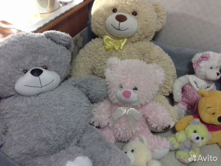 Медведи на любой вкус