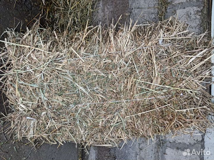 Сено люцерны в тюках