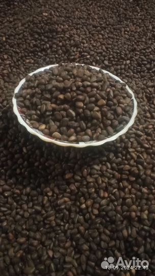 Кедровый орех