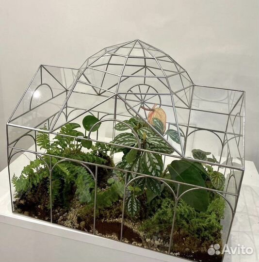 Формы для моссариумов,бонсариумы