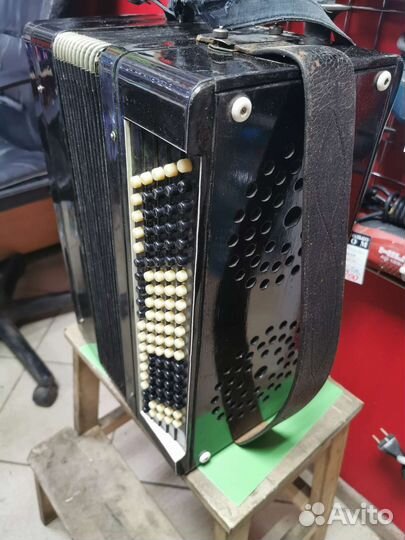 Баян тульский