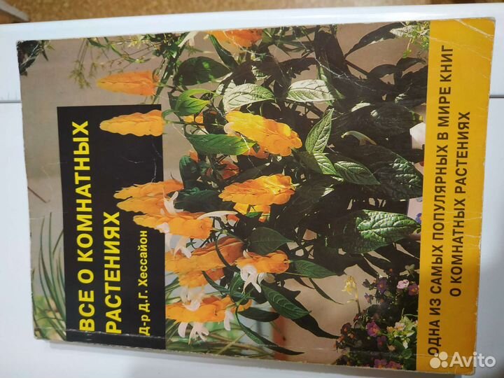 Все о комнатных растениях Хессаойн