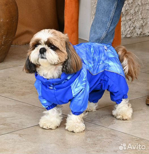 Комбинезон демисезон для собак средних пород