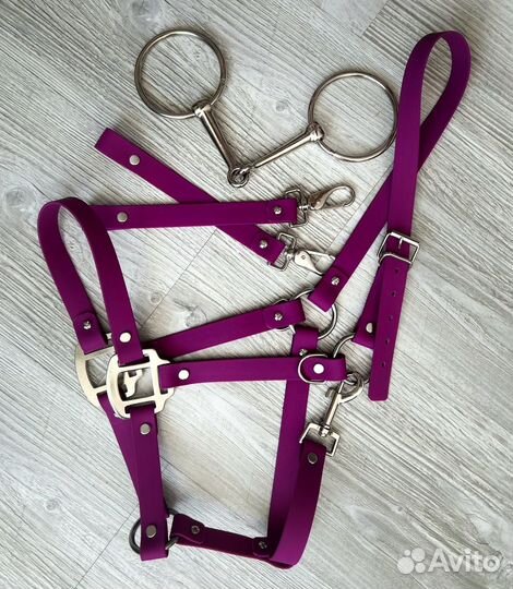 Амуниция из биотана для животных