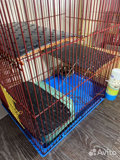Клетка для грызунов крыс хомяков мышей