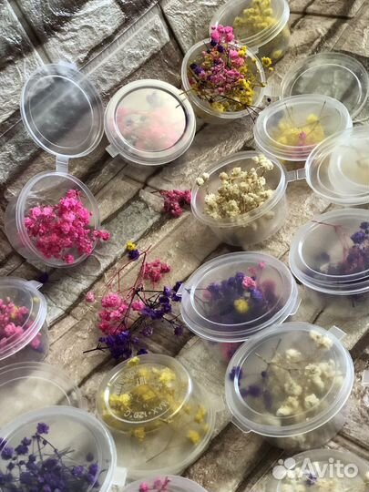 Гипсофила сухоцвет для творчества. Свечей. Саше