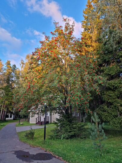 Участок 19 сот. (ИЖС)