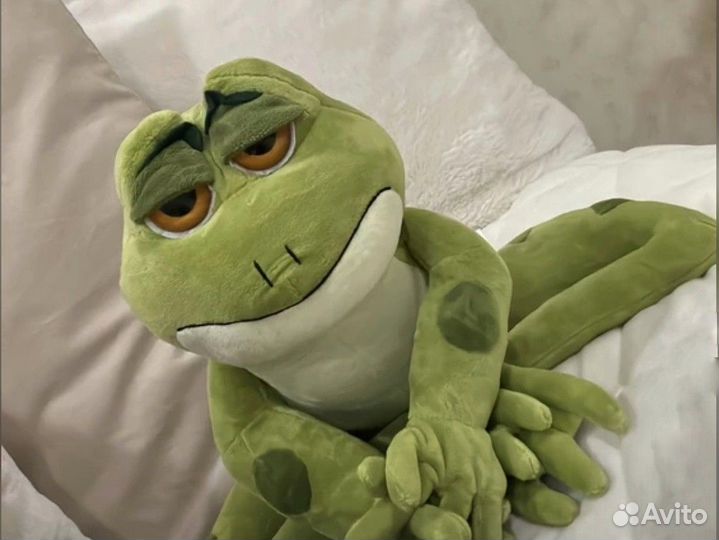 Грустный Валера. Лягушка познавшая эту жизнь