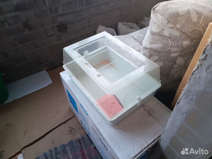 Клетка для хомяка большая