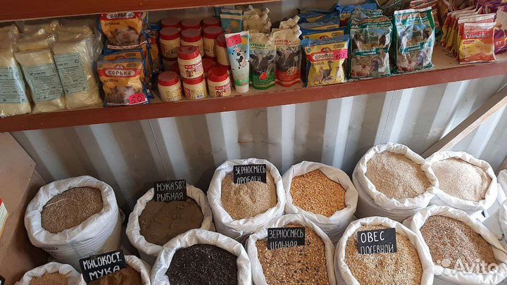 Ячмень Фуражный, дробл