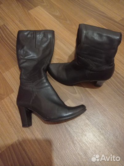 Сапоги осень весна женские 36 кожа
